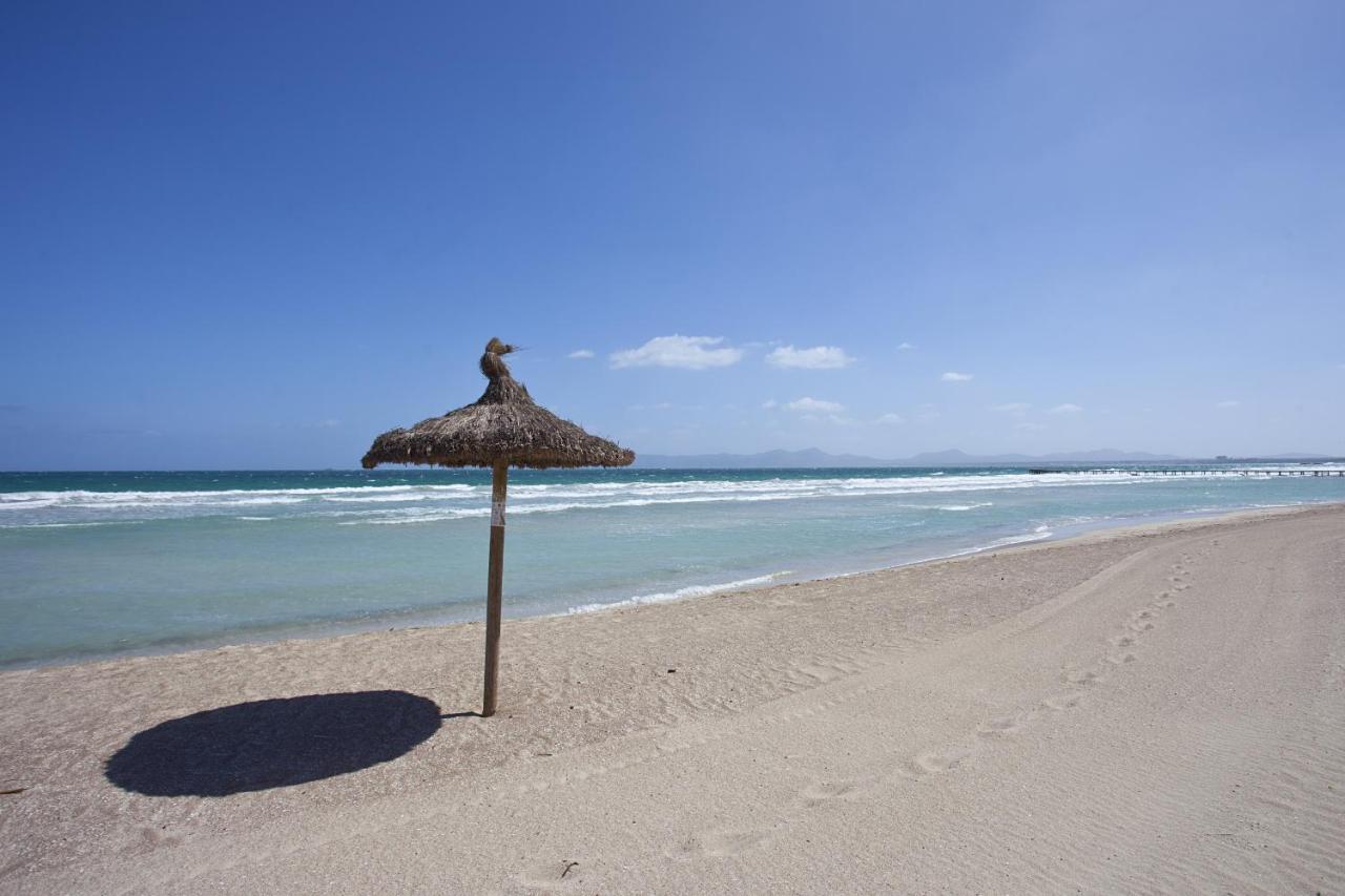 Villa Alicemar Beach بورت ذالكوذيا المظهر الخارجي الصورة